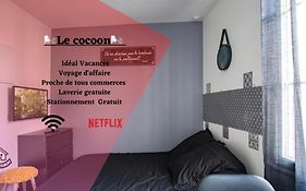 Le cocoon - centre ville- WIFI- parking